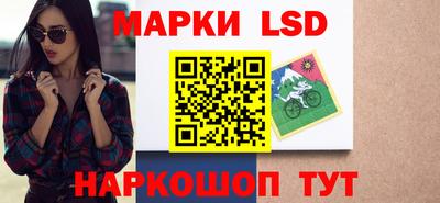 гидропоника Новокубанск