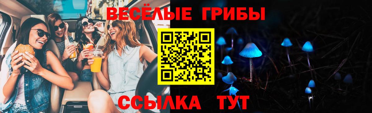 Галлюциногенные грибы прущие грибы  Вход с VPN  Феодосия  Псилоцибиновые грибы Cubensis 
